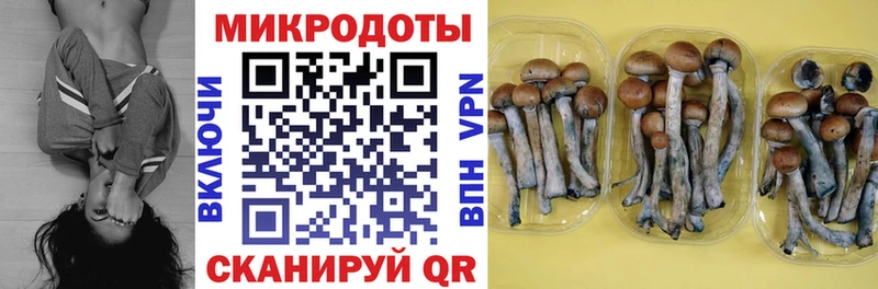 Псилоцибиновые грибы Psilocybe  Межгорье 